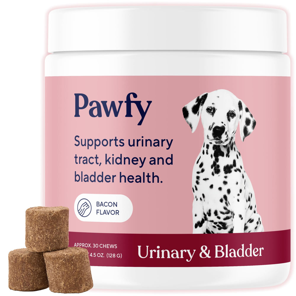 Boîte Pawfy pour l'infection urinaire du chien, soutien du système urinaire.