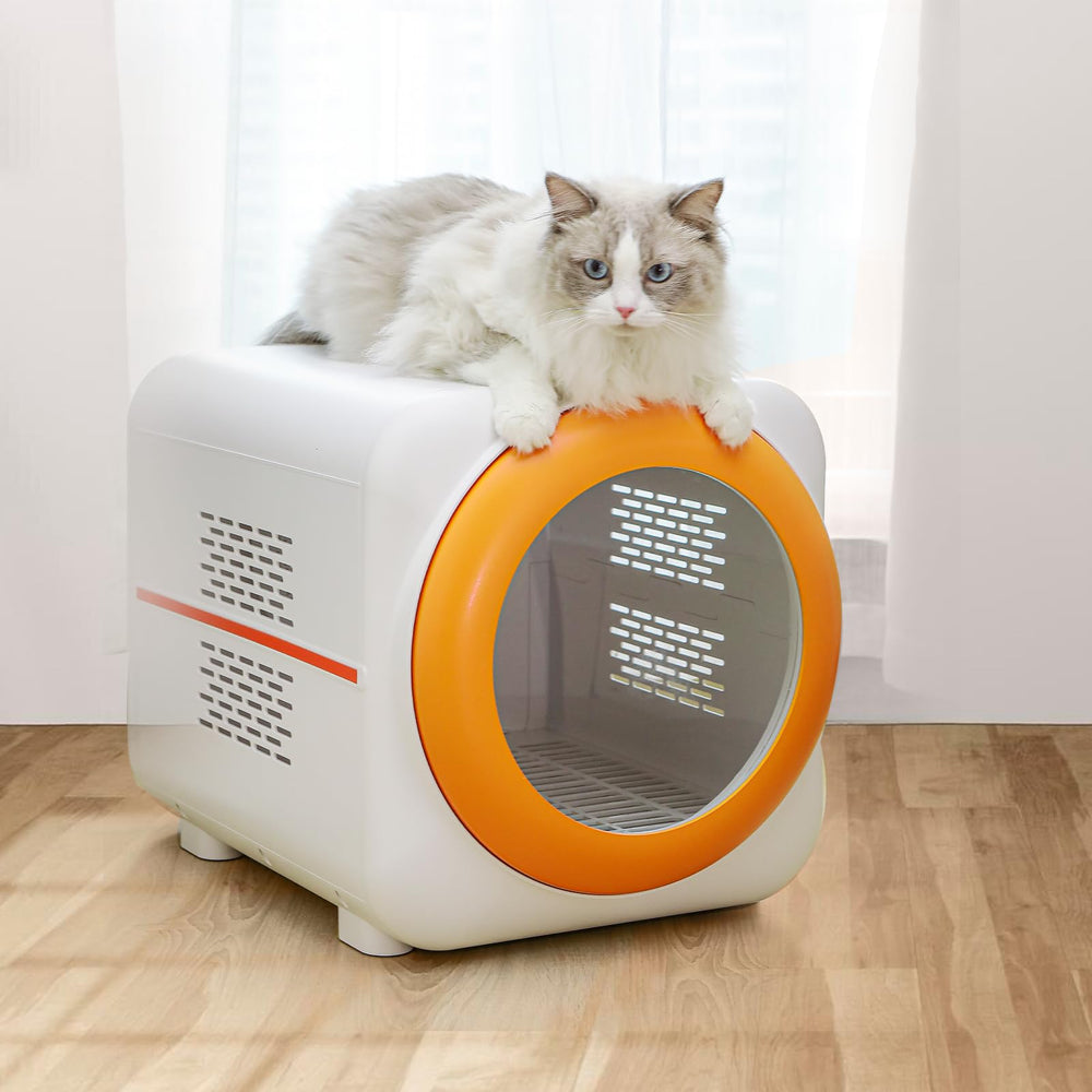 PawGalaxy Box sécurité et éclairage intégrés pour surveiller l’animal en toute sérénité.