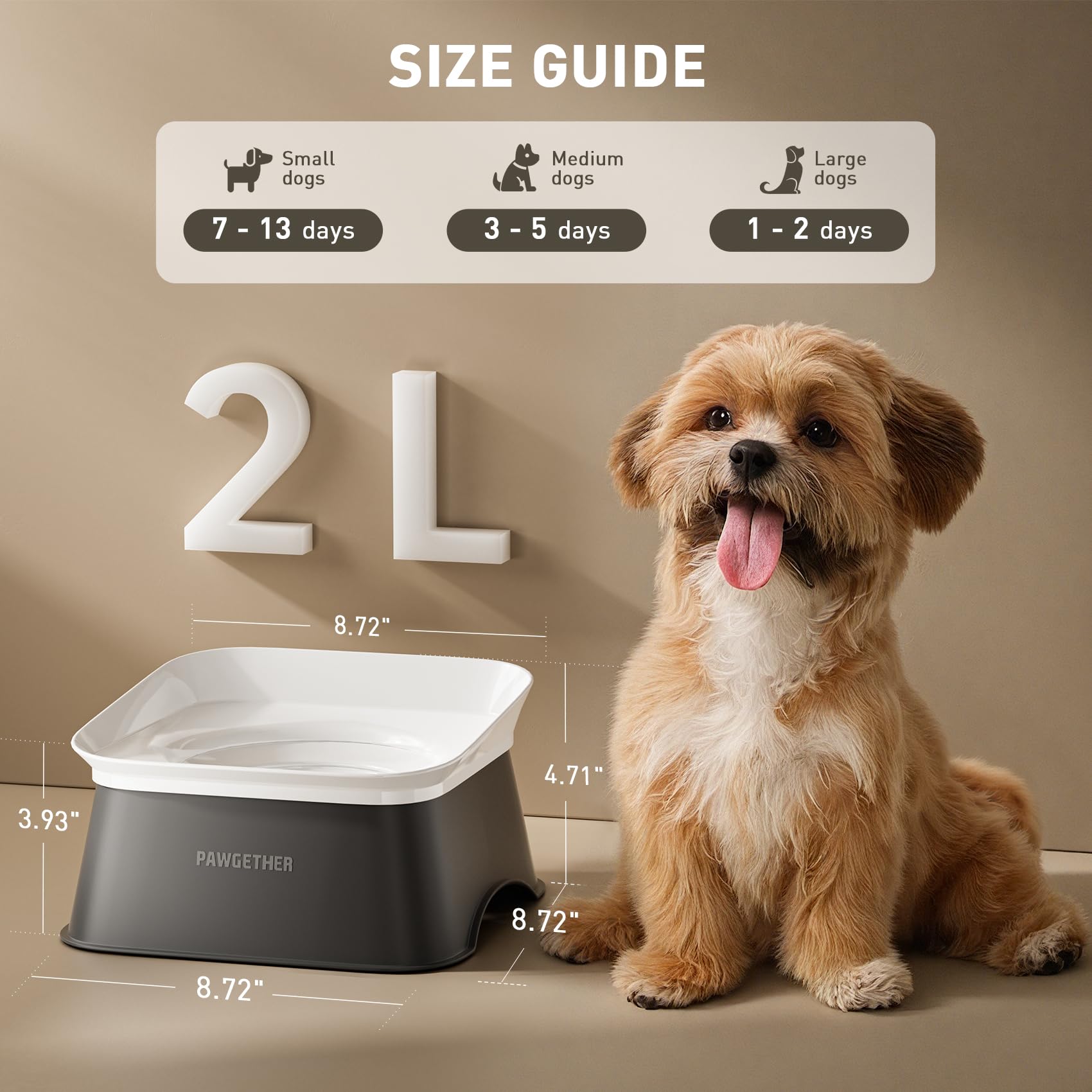 PAWGETHER bol eau boisson lente pour digestion plus sereine.