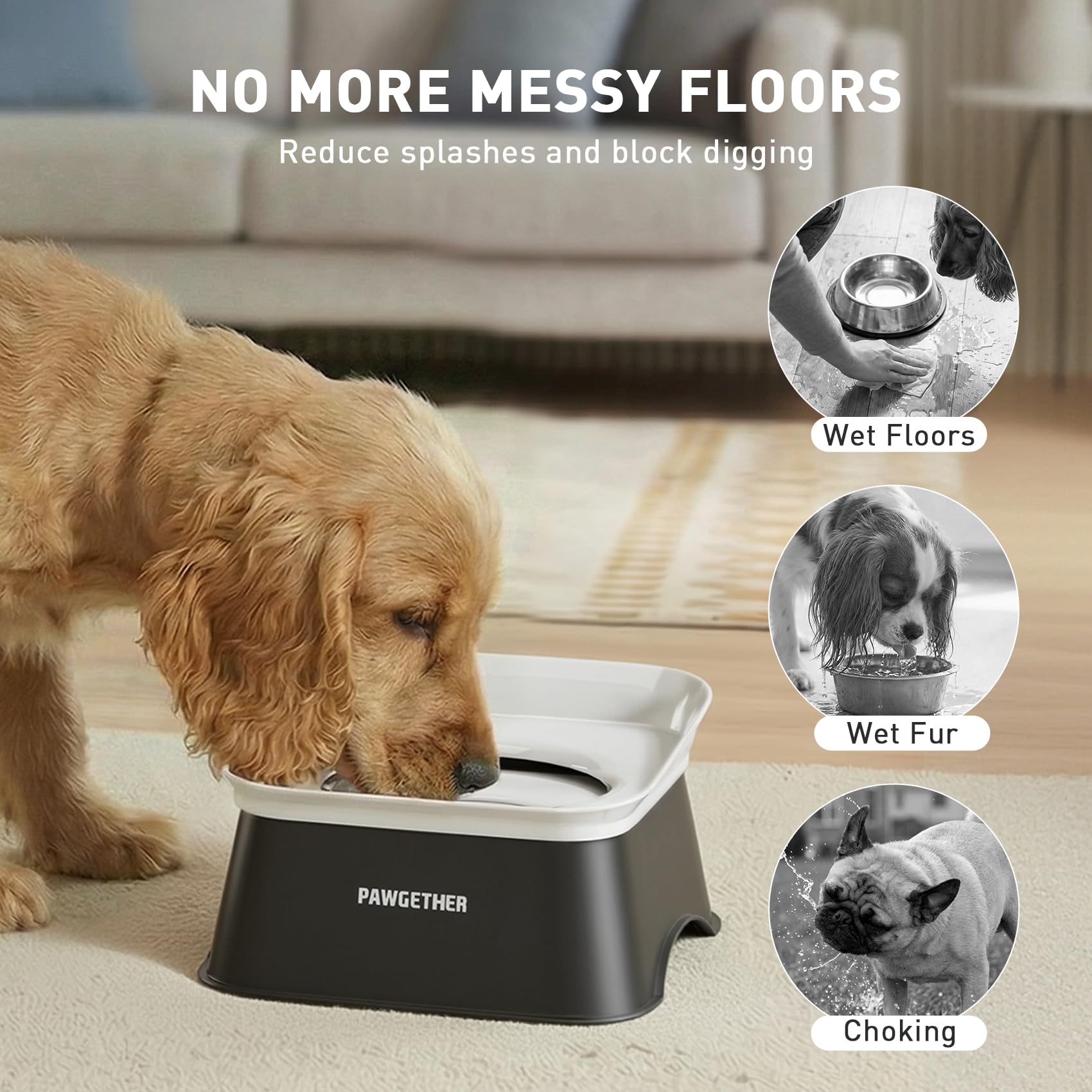 PAWGETHER bol eau avec disque flottant pour stabilité.