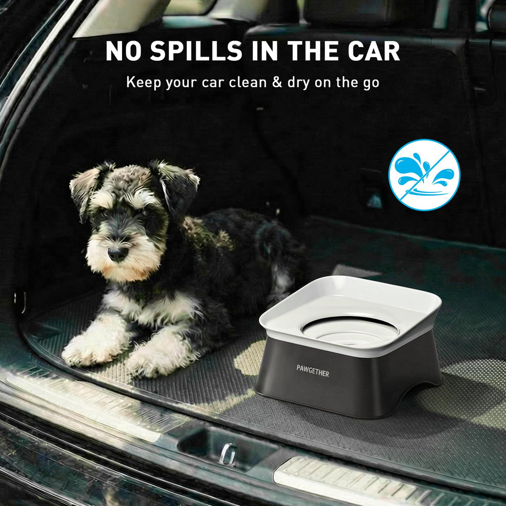 PAWGETHER bol eau nettoyage simple en 3 étapes.