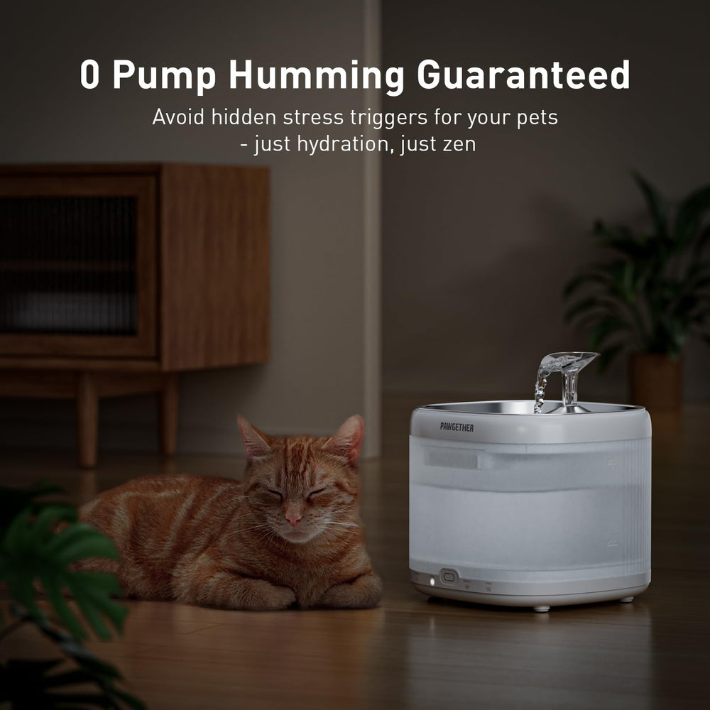 PAWGETHER fontaine chat avec filtration avancée pour eau plus fraîche.