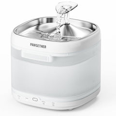 PAWGETHER fontaine chat en inox avec plateau, hydratation saine et durable.