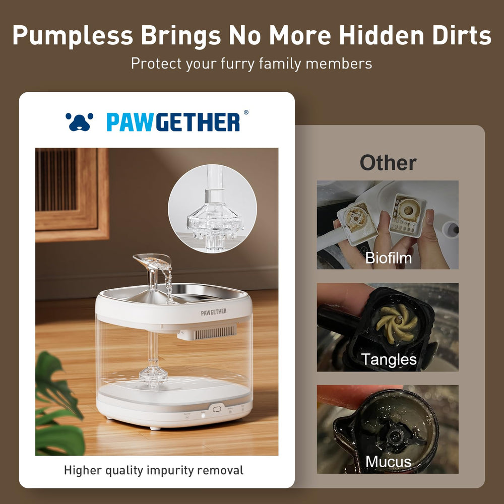 PAWGETHER fontaine chat sécurité eau et électricité renforcée.