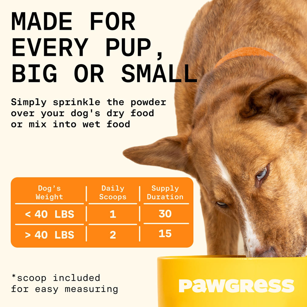 PAWGRESS routine chien actif, aide potentielle à des selles régulières et confort digestif.