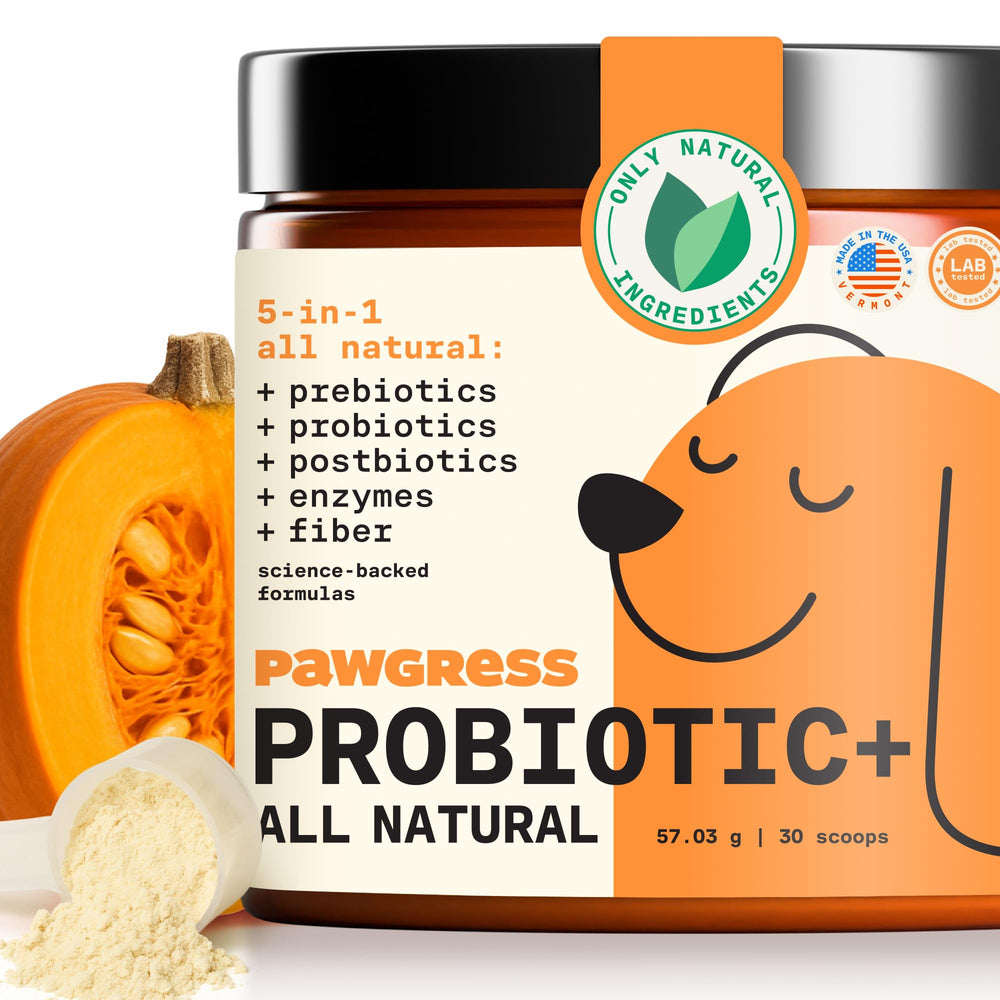 PAWGRESS poudre probiotiques 5-en-1 dans une boîte, pratique pour la routine quotidienne.
