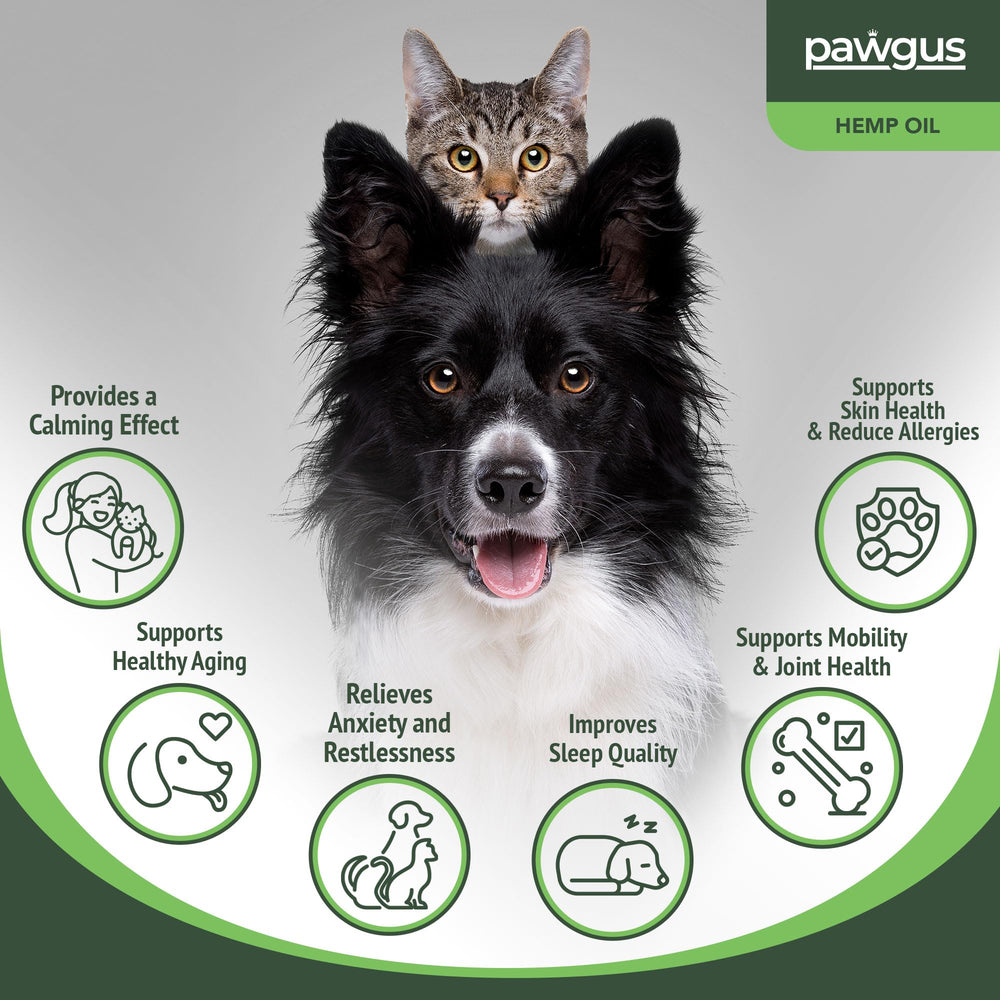 Pawgus huile de chanvre – gouttes: administration facile au quotidien.