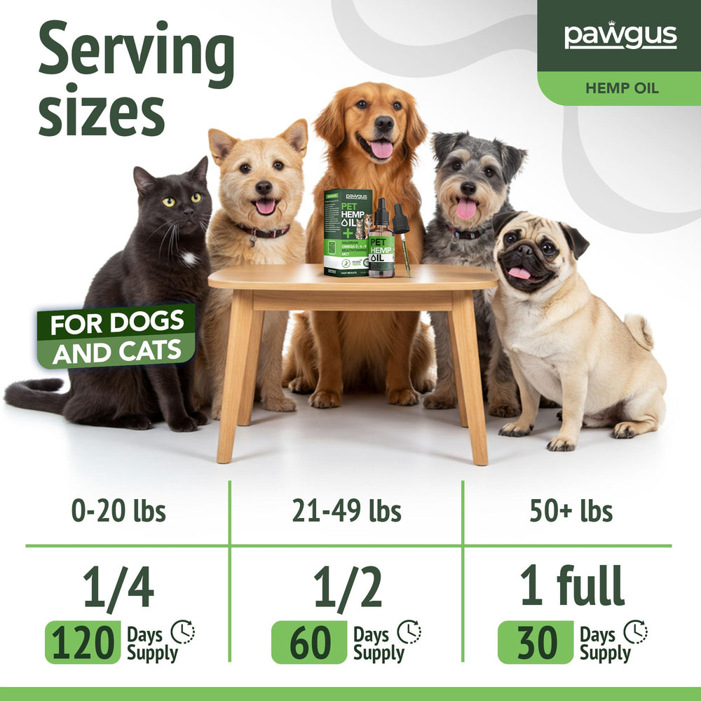 Pawgus huile de chanvre – utilisation quotidienne: facile à intégrer à la routine.