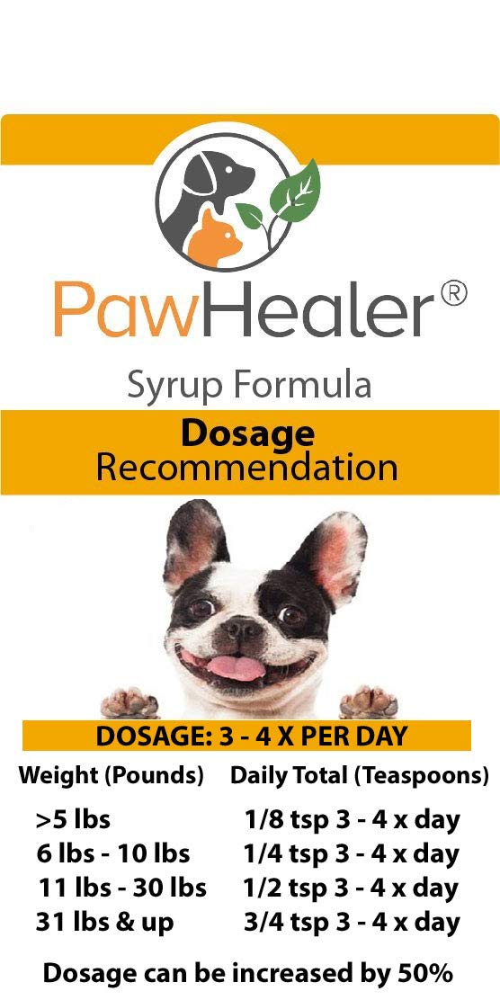 Chien détendu après utilisation du pack PawHealer.