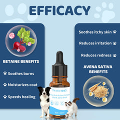 Pawimood flacon de 10 ml montrant la dilution facile avec eau.