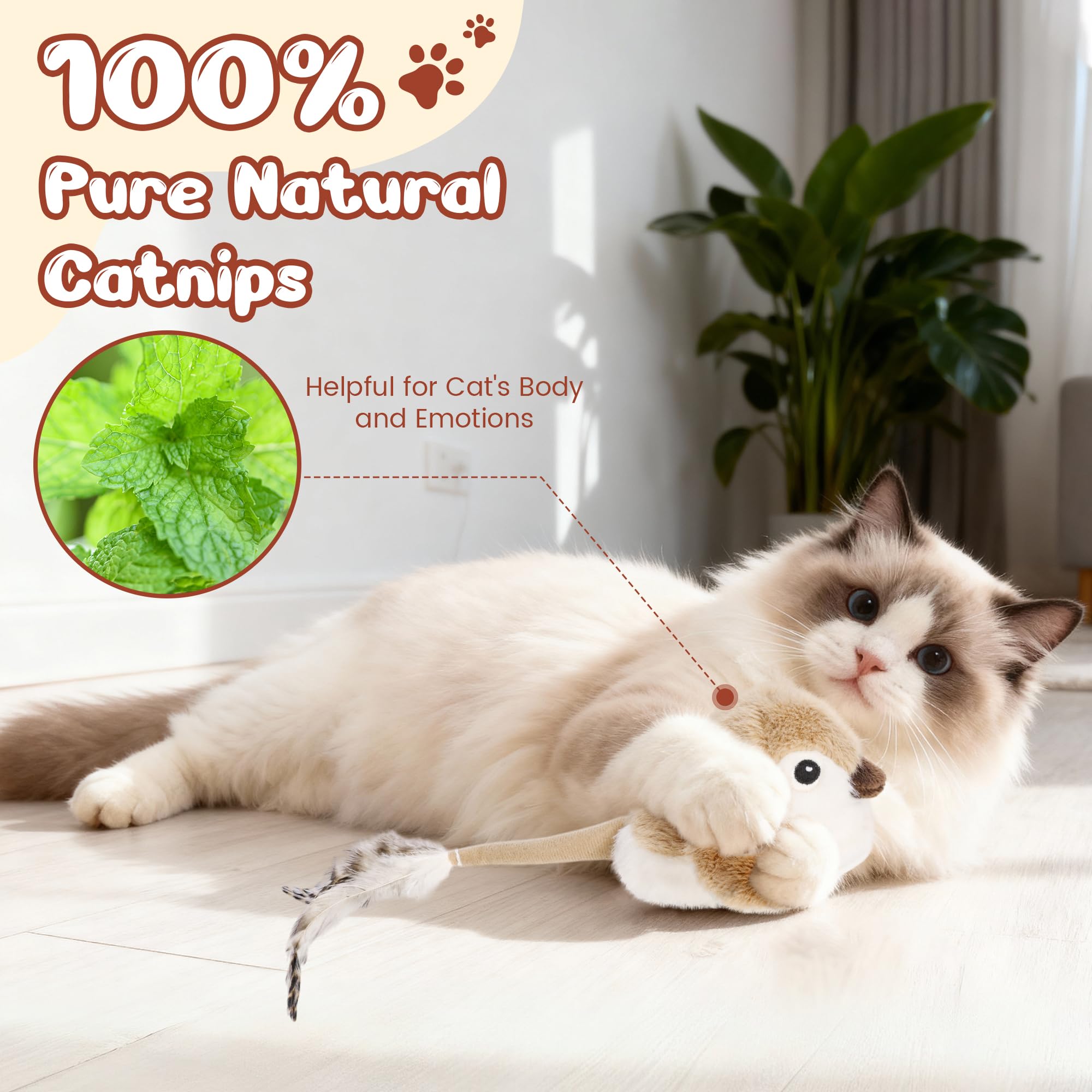 Pawingcat Oiseau Interactif avec cataire intégrée, booste le jeu.