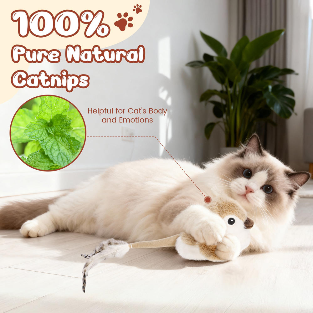 Pawingcat Oiseau Interactif avec cataire intégrée, booste le jeu.