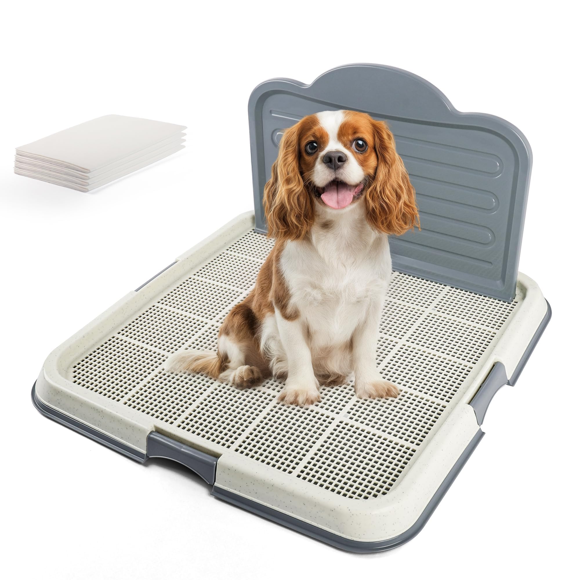 PAWISE bac d'entraînement chiot grand format pour apprentissage propre
