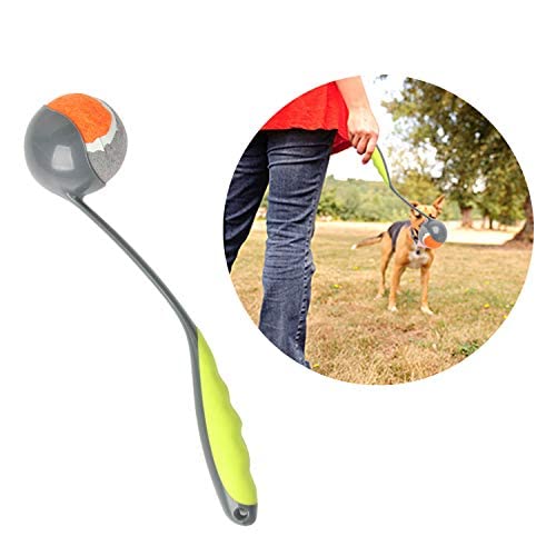 PAWISE lanceur de balle 2,5 pouces pour chien, pratique en extérieur.