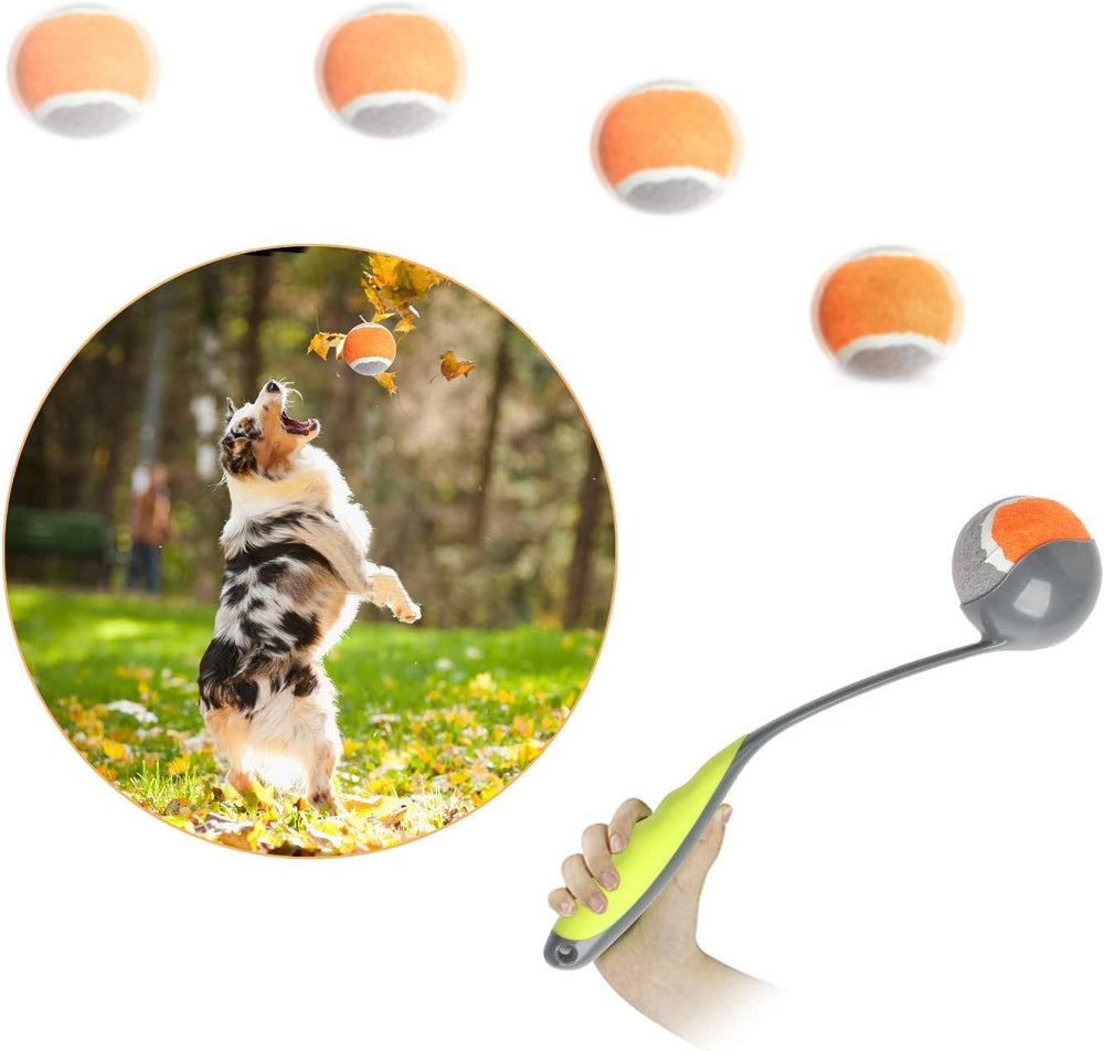 PAWISE lanceur de balle pour chien moyen, portable et pratique en extérieur.