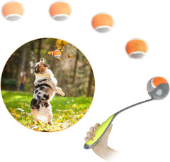 PAWISE lanceur de balle pour chien moyen, portable et pratique en extérieur.