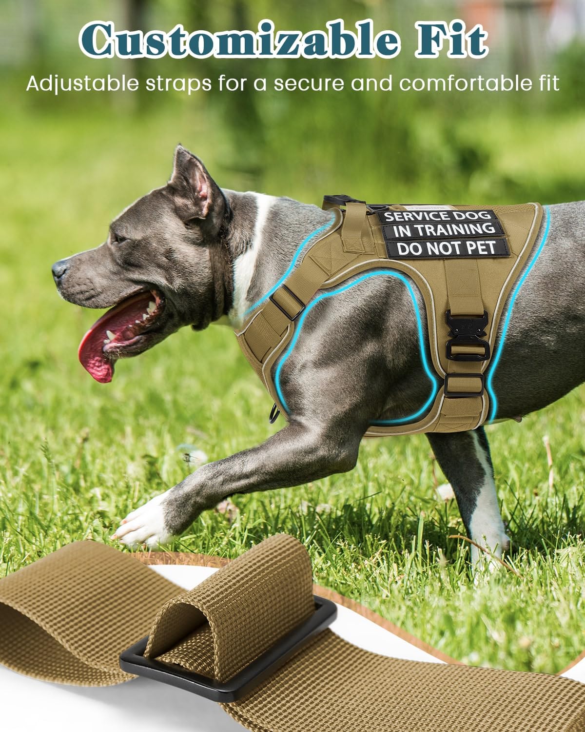 PawistaPal boucles métalliques robustes pour chiens forts et durables