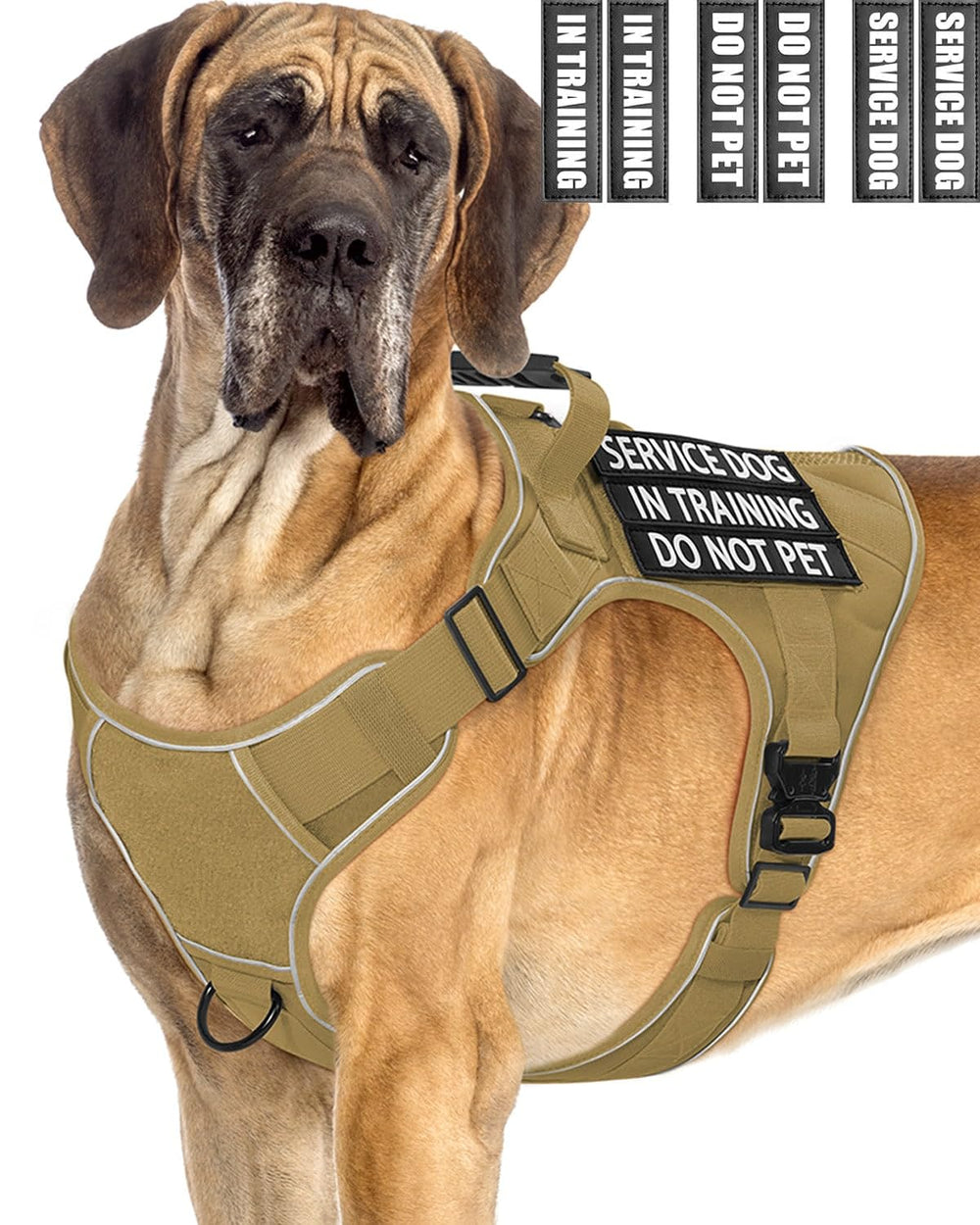 PawistaPal gilet en formation avec anse et boucles métalliques pour grands chiens.
