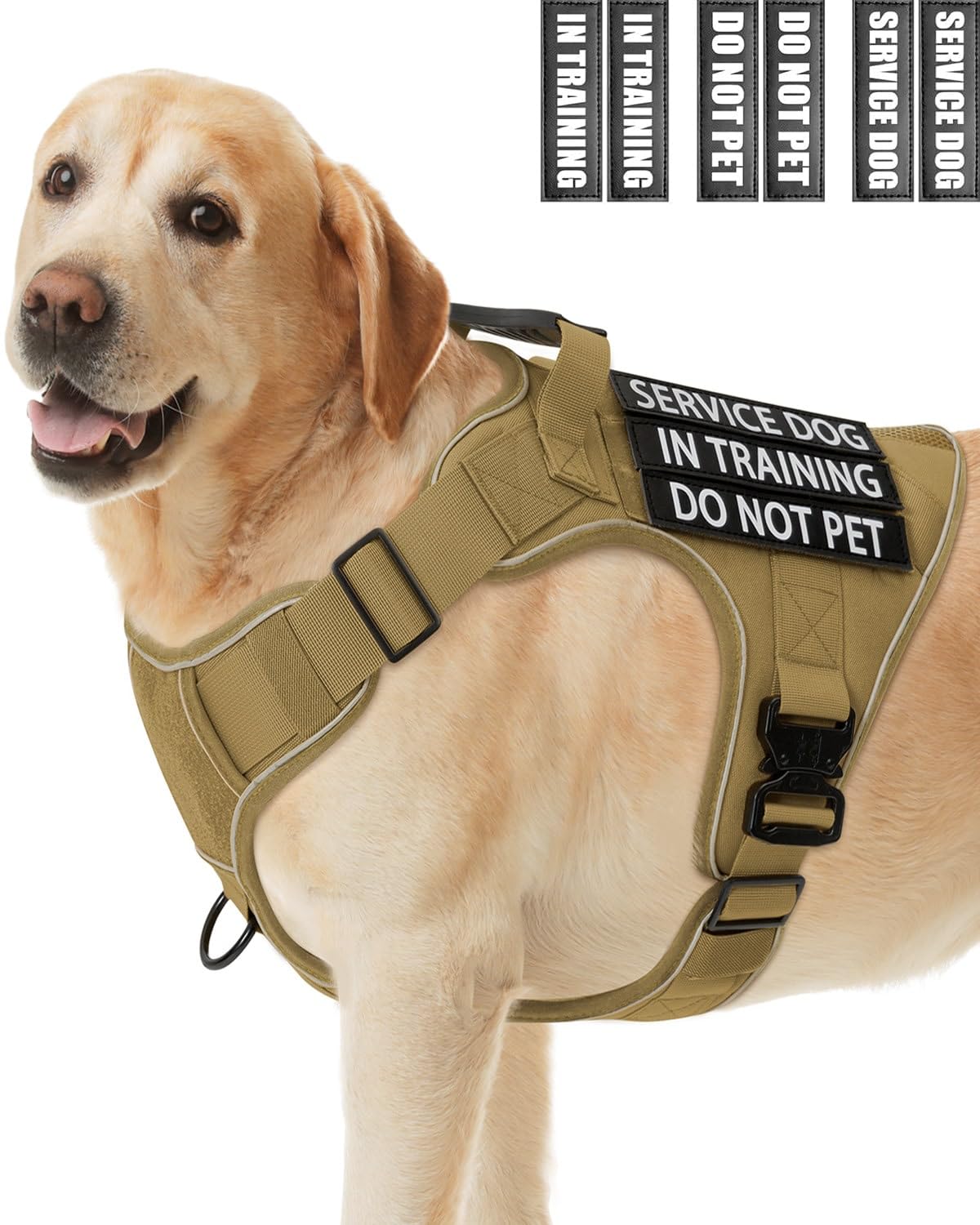 PawistaPal gilet d'entraînement pour chien de service, ajustement sûr et confort