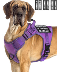 PawistaPal gilet de formation pour chien, réflectif, sécurité accrue en extérieur.