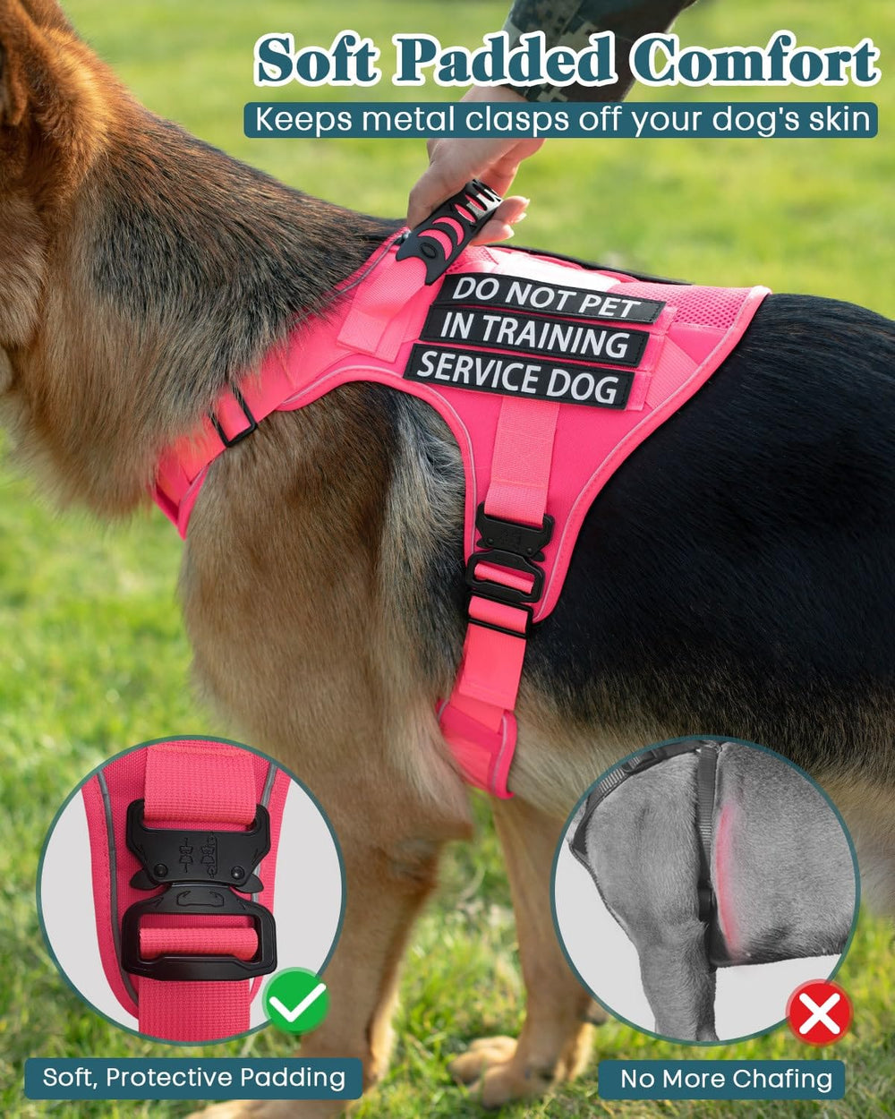 Guide taille PawistaPal pour obtenir le bon ajustement.
