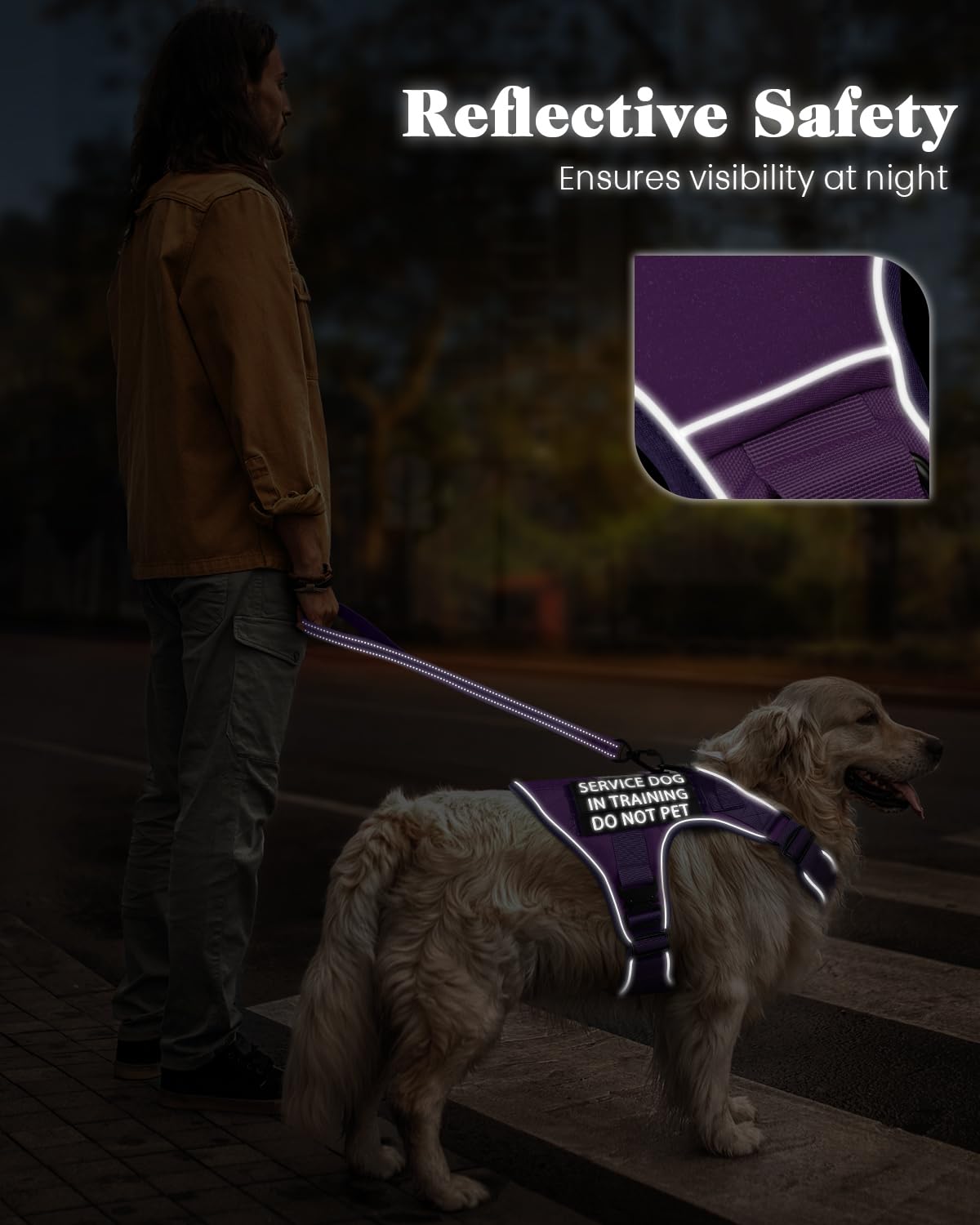 PawistaPal guide-tailles-chien-moyen aide à choisir la bonne taille.