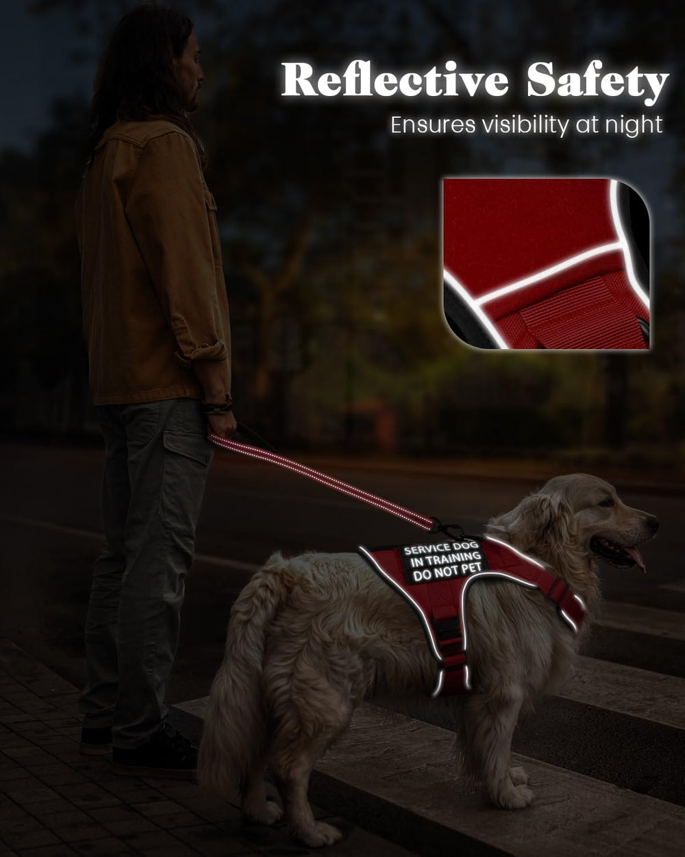 PawistaPal guide des tailles pour harnais chien moyen.