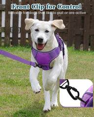 PawistaPal harnais formation chien avec 6 patches personnalisables.