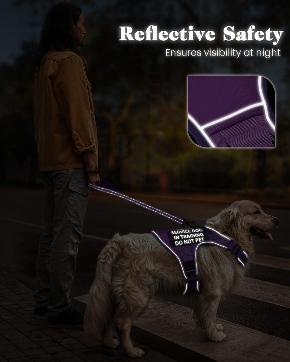 PawistaPal rembourrage confortable pour longues promenades.
