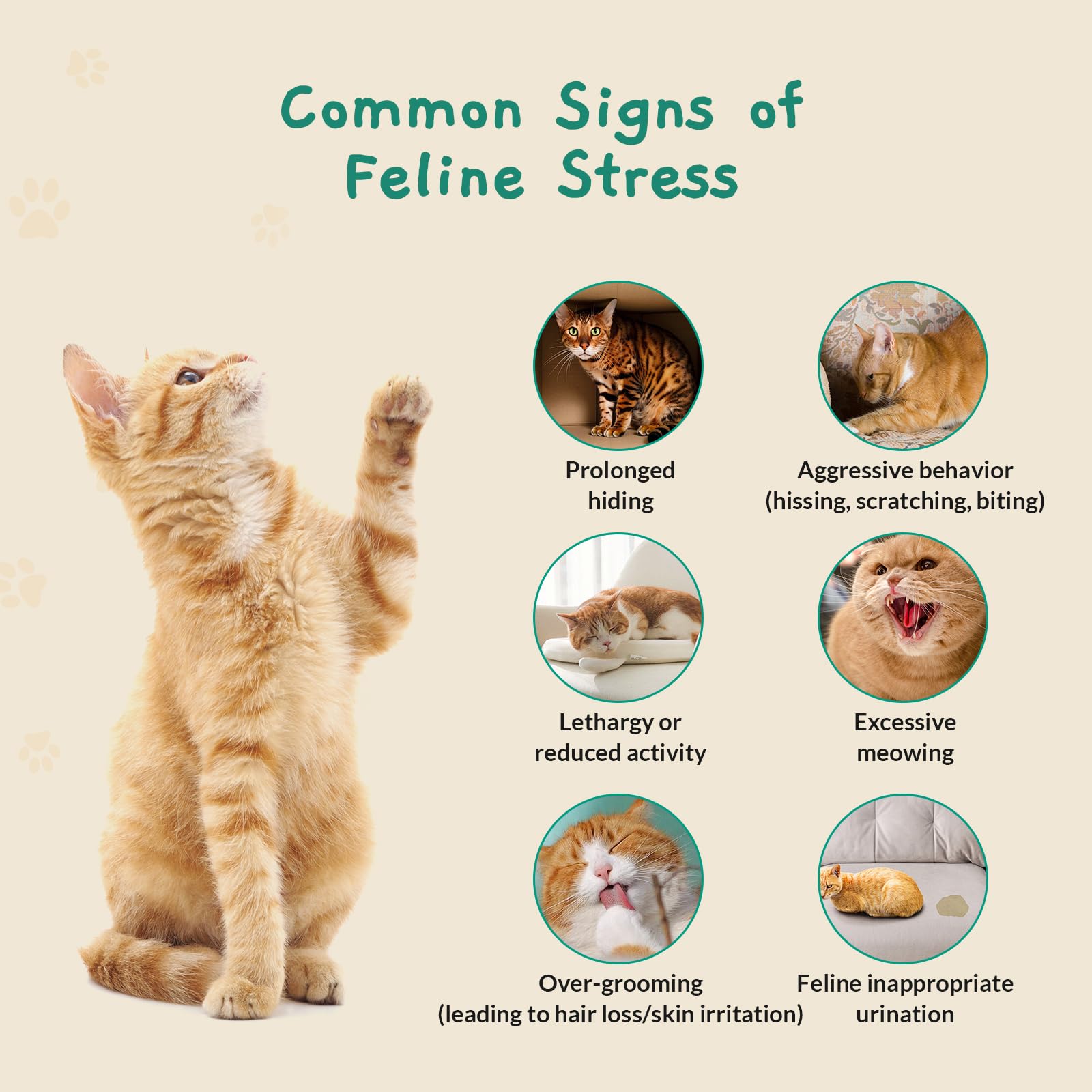 Pawith Patch diffusion-pheromone: diffusion apaisante pour le stress.