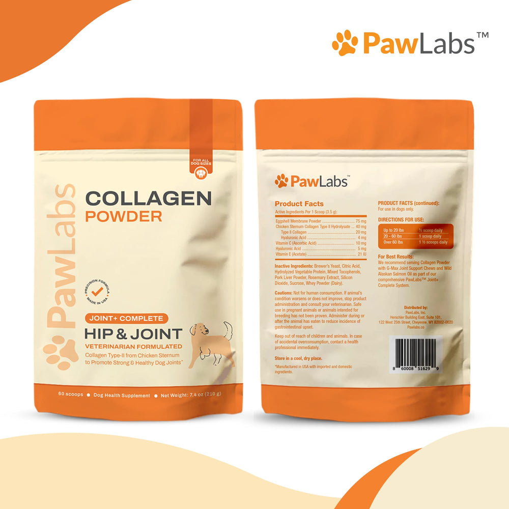 PawLabs collagene poudre chien – soutien potentiel à la mobilité et confort quotidien