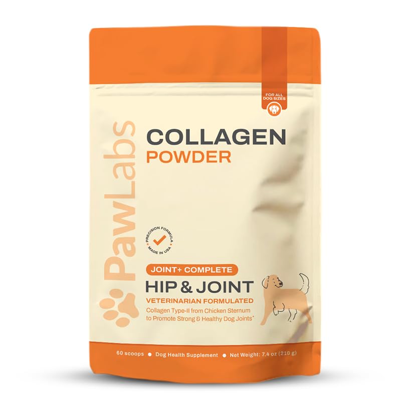 PawLabs Collagene poudre chien – dosage quotidien pour soutenir l articulation