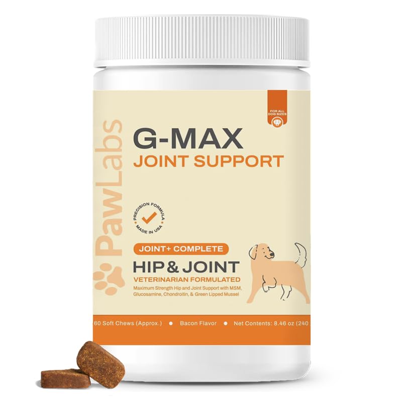 Emballage Pawlabs G-Max prêt pour chiens actifs, mise en avant du produit.