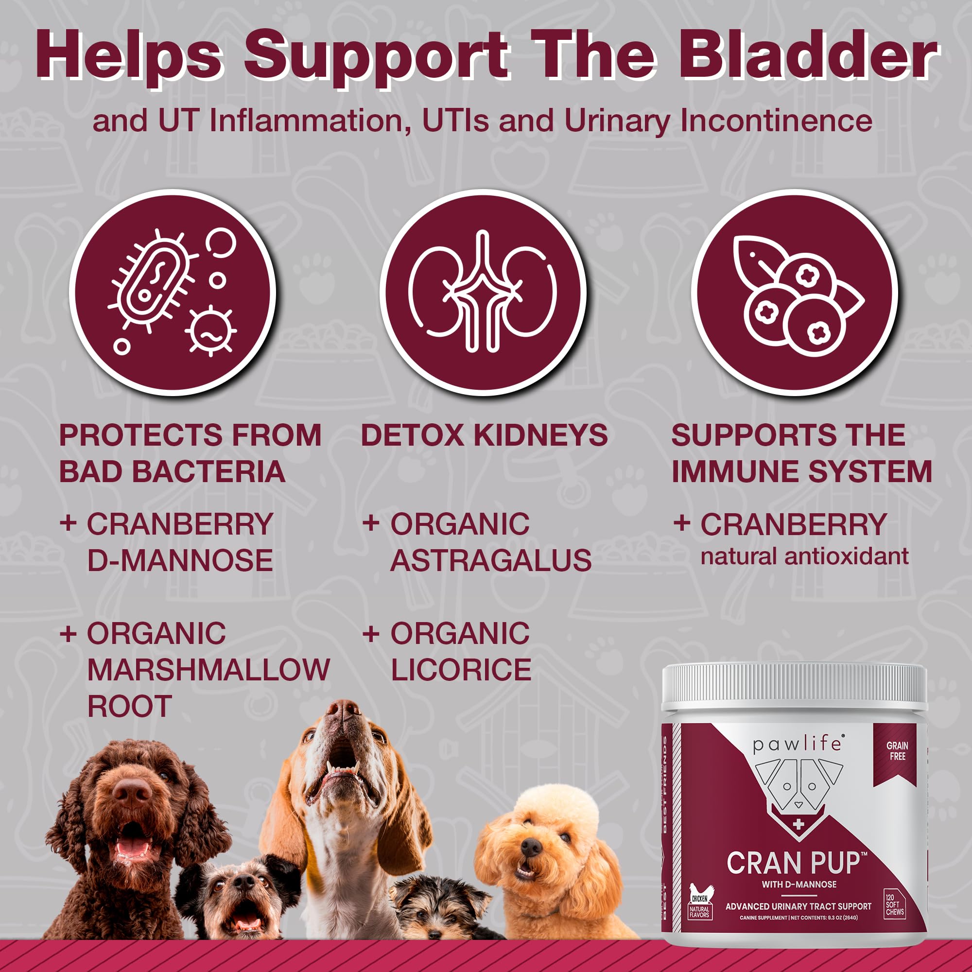 Pawlife: d-mannose et antioxydants pour chien, formule ciblée.