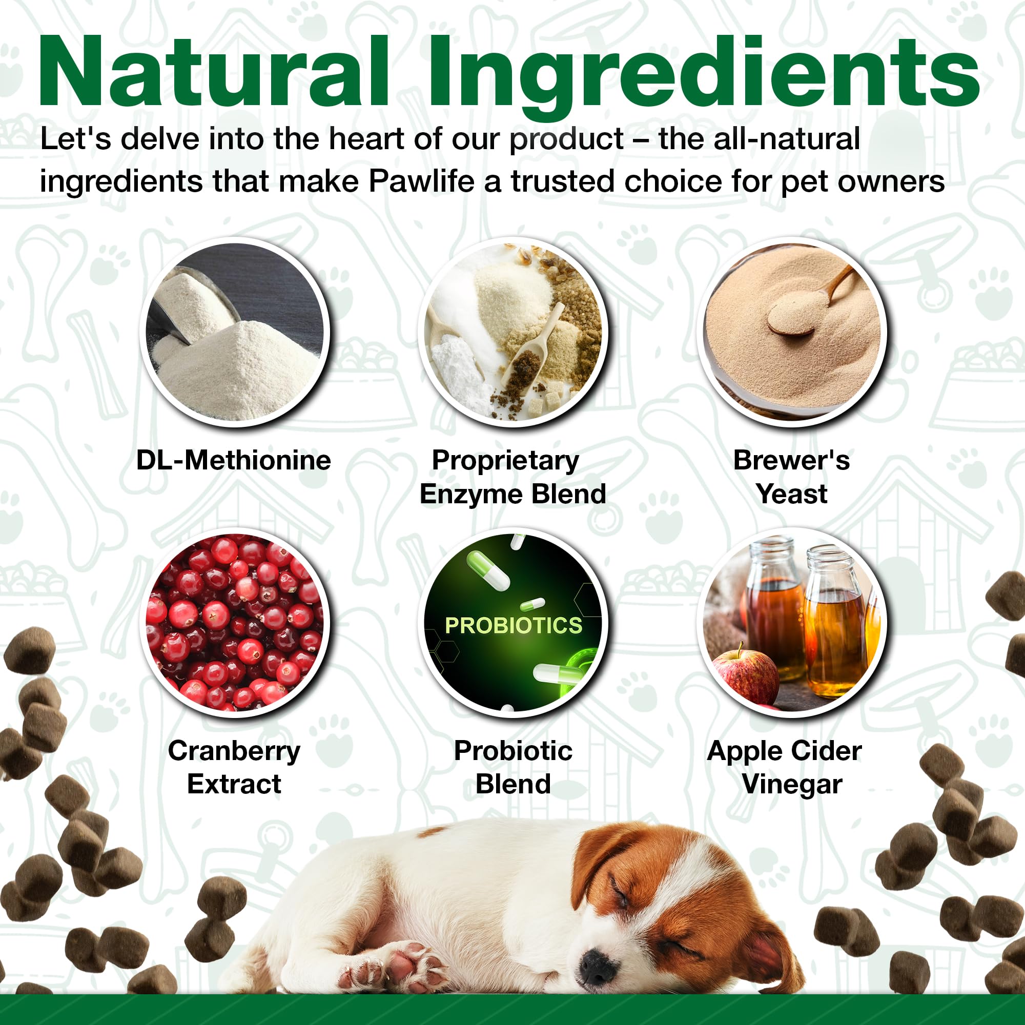 Friandises Pawlife pour chien — utilisation quotidienne adaptée à divers chiens