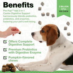 Prébiotiques et enzymes digestives pour favoriser l’équilibre intestinal du chien.