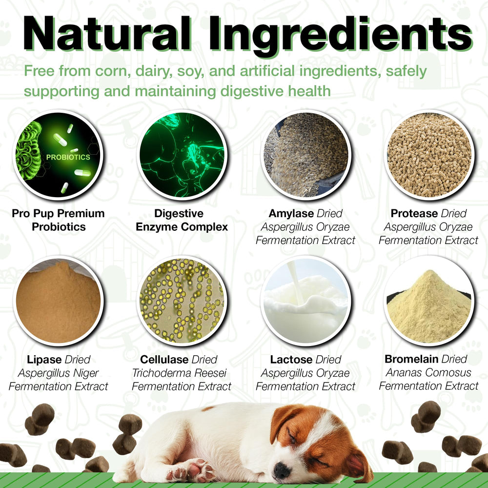 Recommandé par vétérinaires pour le bien-être digestif du chien.