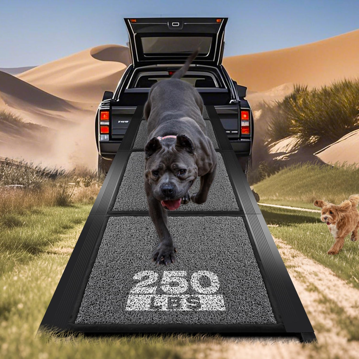 Rampe Pawlify pour chien, entrée fluide dans le véhicule.