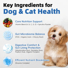 Pawlooza Probiotiques chiens – oreilles et otite: soutien potentiel.