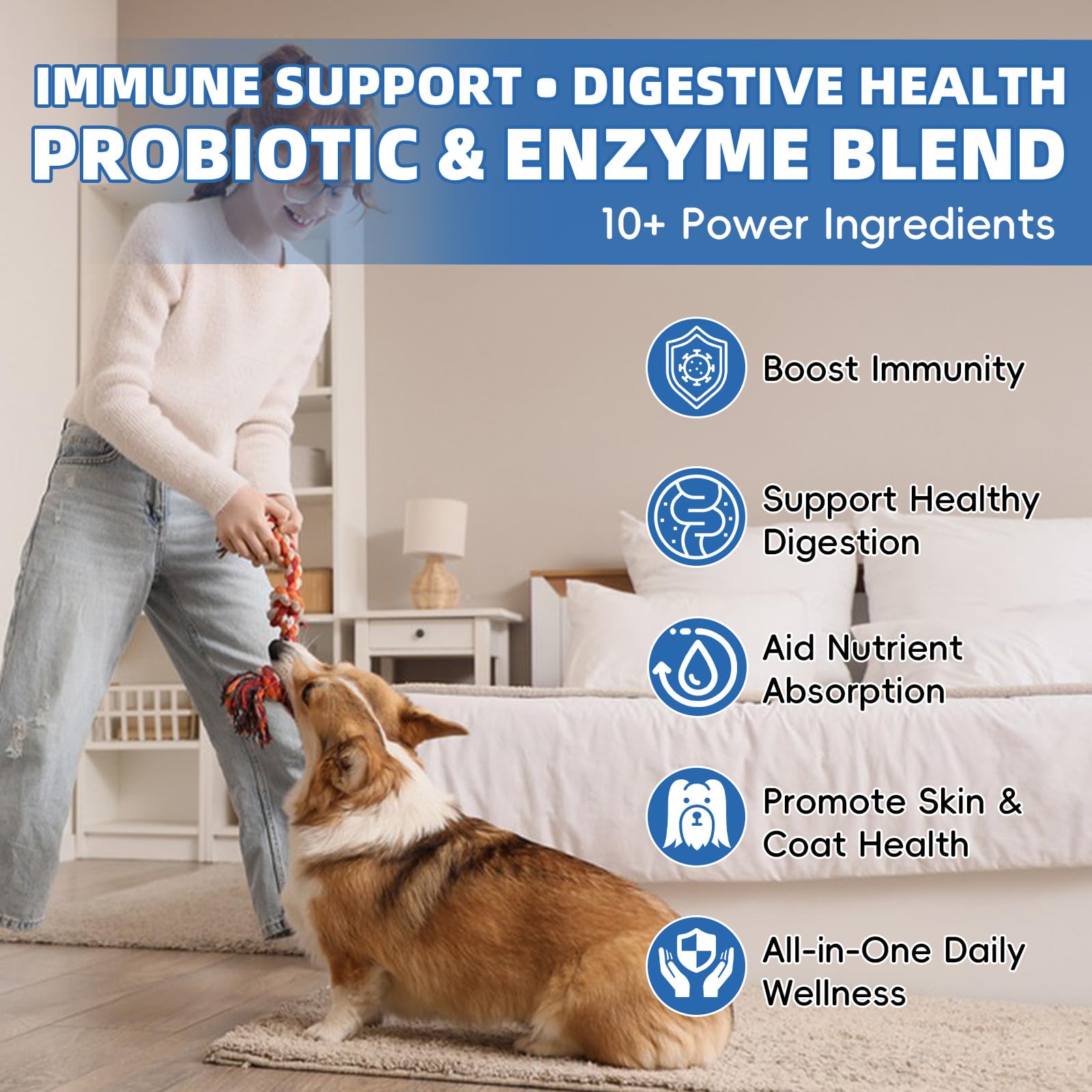 Pawlooza Probiotiques chiens – pissenlit pour detox douce.