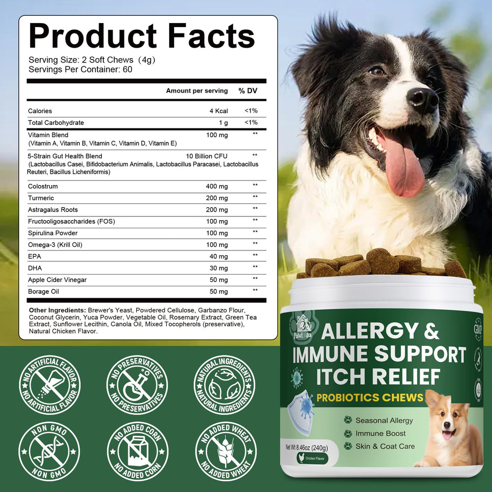 Pawlooza Probiotiques chien: vitamines quotidiennes pour vitalité.