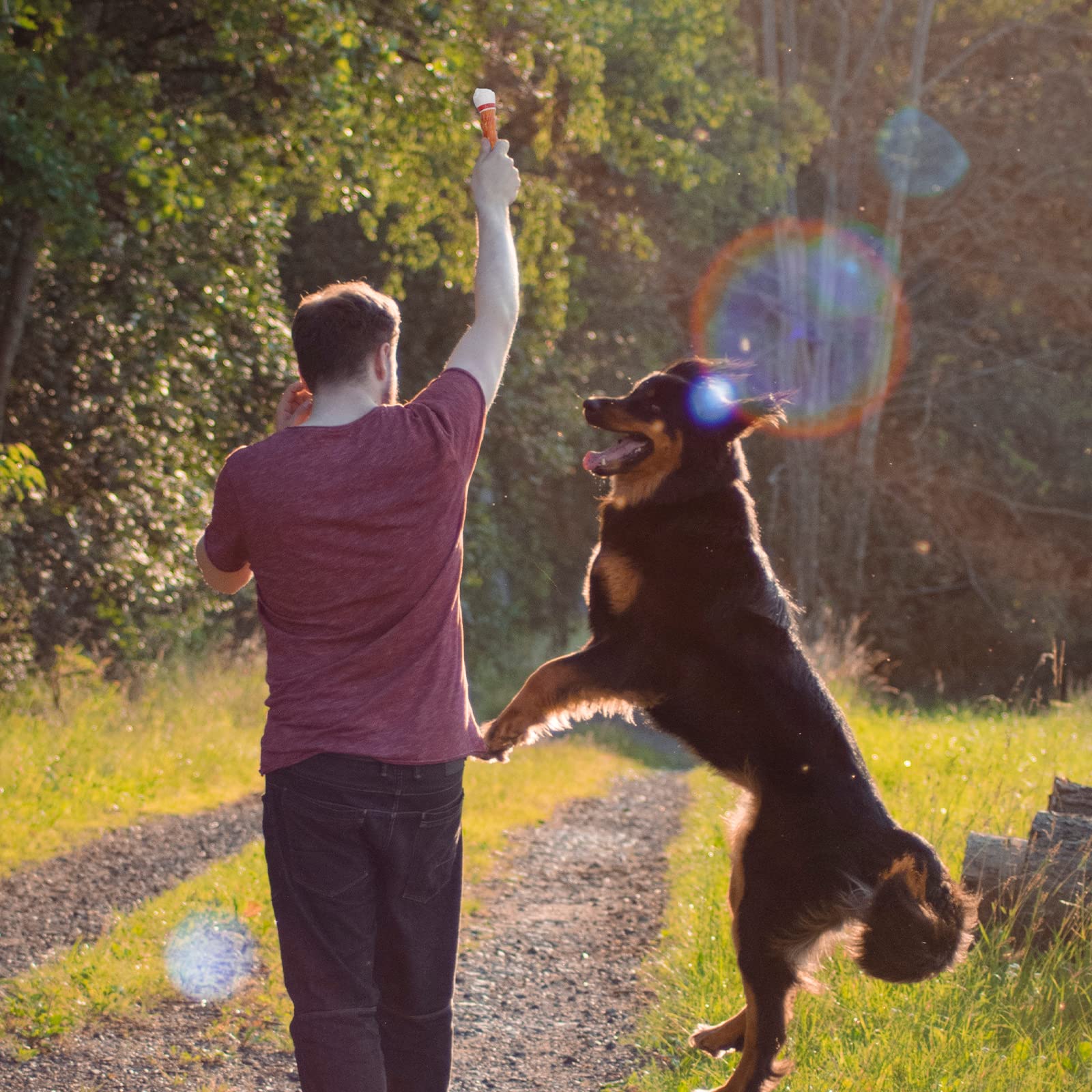 Pawmate boîte de 4 pièces – récompense pratique lors de l'entraînement