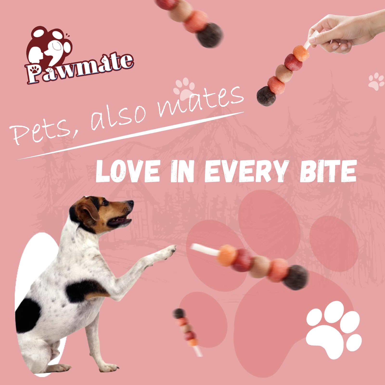 Kabobs Pawmate 10-6 onces, format idéal pour partager lors d aventures.