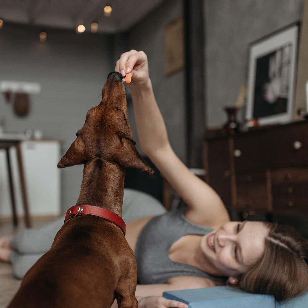 Pawmate portions patate douce pour petites/moyennes/grandes races, adaptabilité.