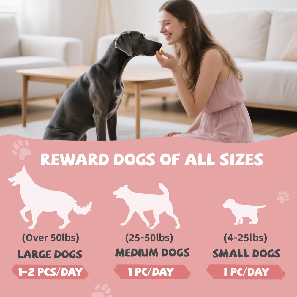 Pawmate sterilisation UV et tests en laboratoire – qualité garantie.