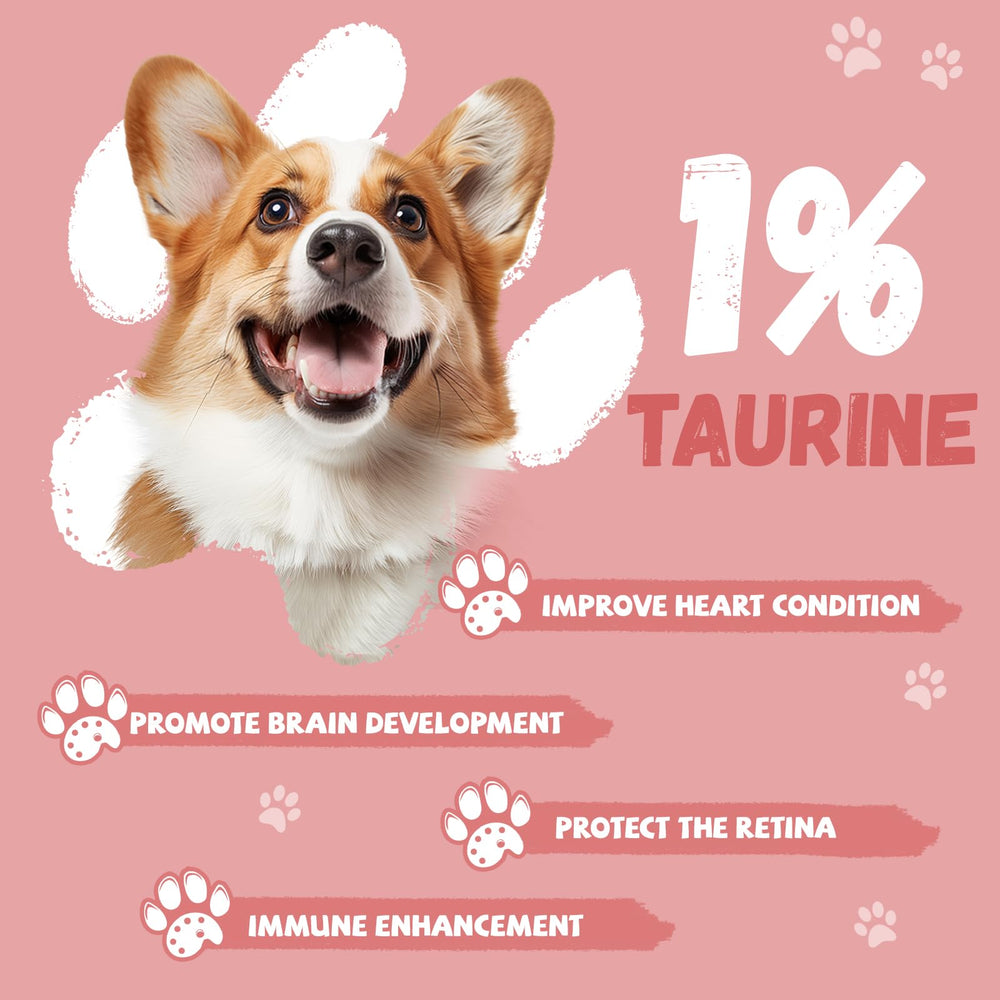 Pawmate forme de sucette ludique, adaptée à l'apprentissage et à la motivation.