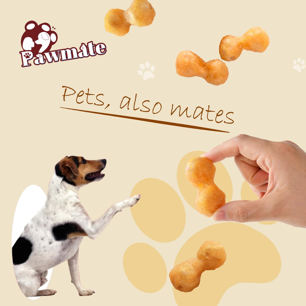 Texture mâchable durable de Pawmate pour stimuler mentalement et occuper.