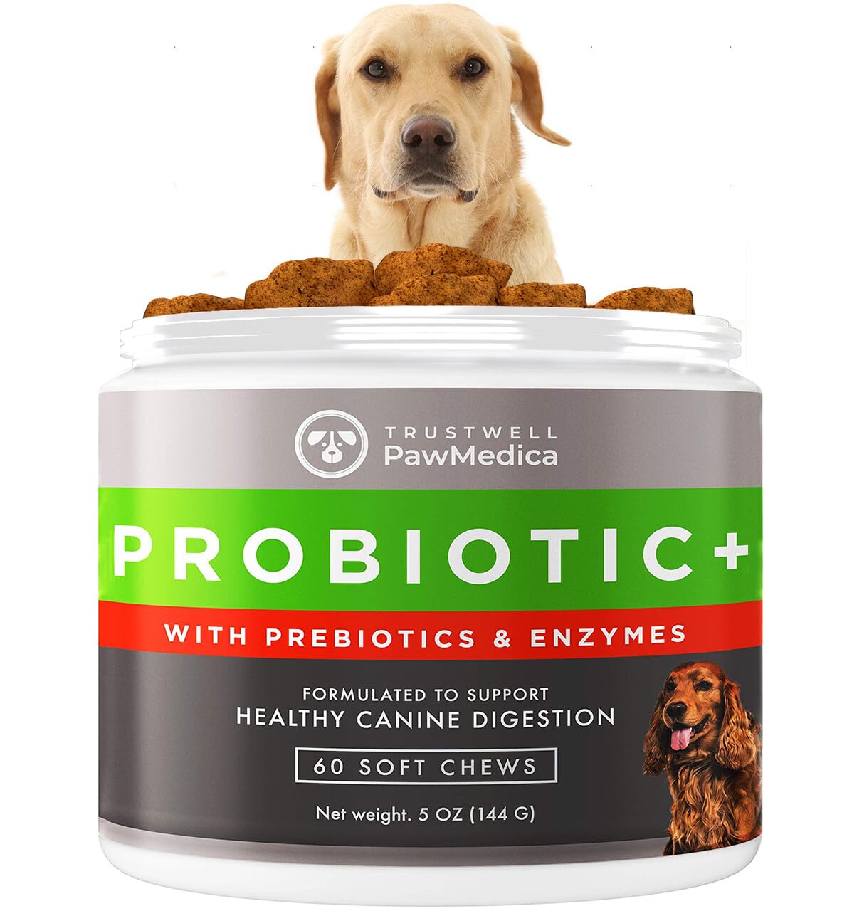 PawMedica bouchées probiotiques pour chien, soutien digestif quotidien.
