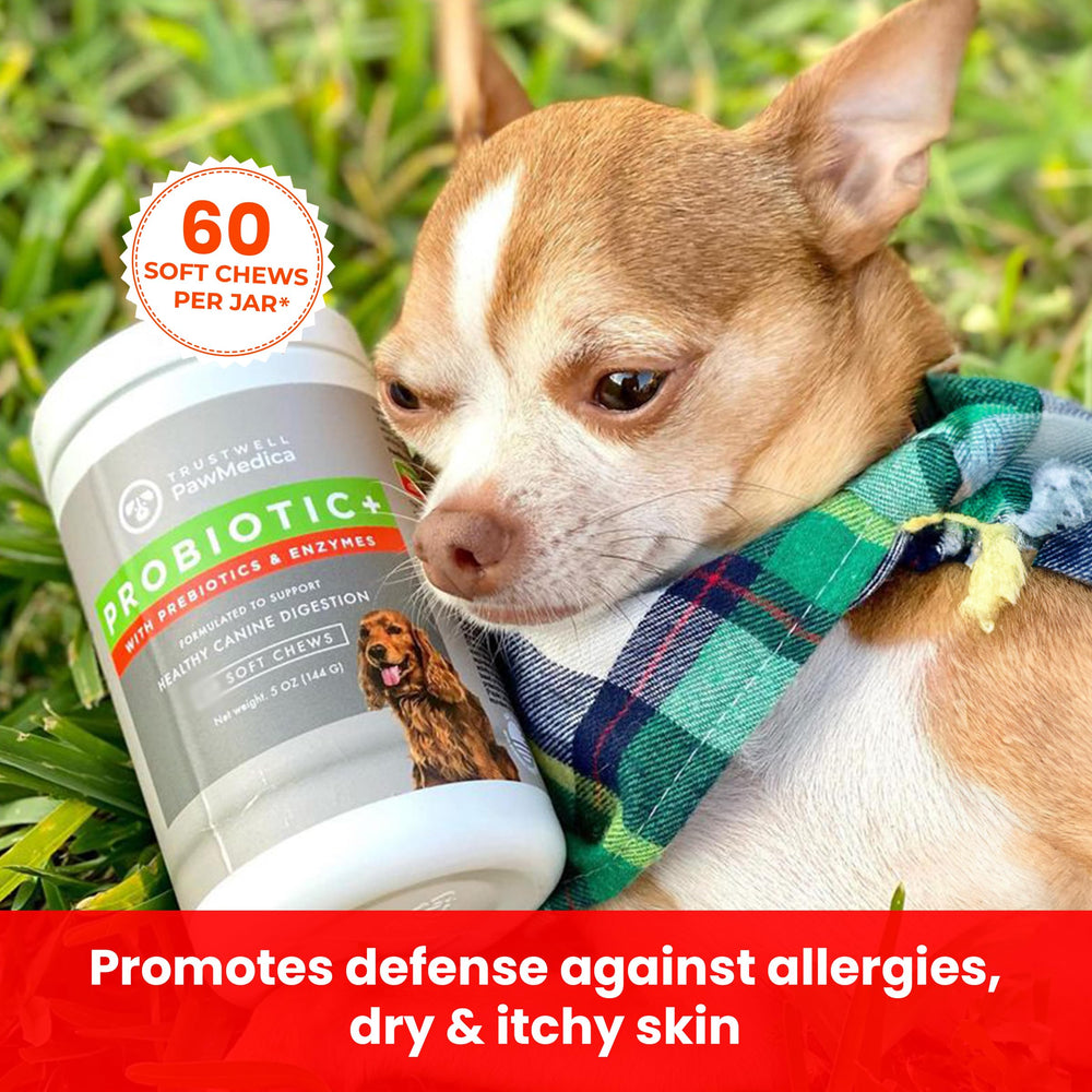PawMedica enzymes digestives pour chien, aide potentielle à la digestion.
