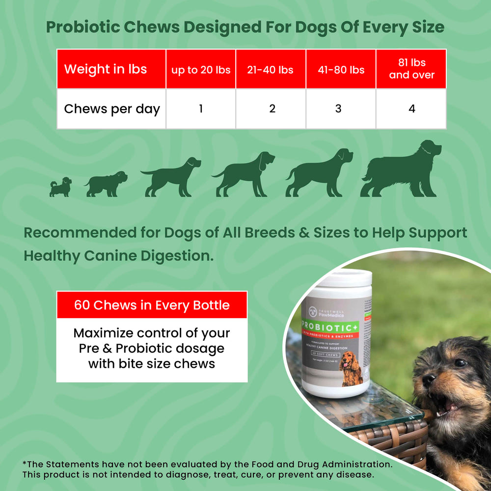 PawMedica équilibre les selles chien, soutien digestif quotidien.